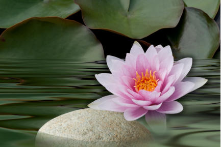 Heilpraktiker für Psychotherapie - Headerbild